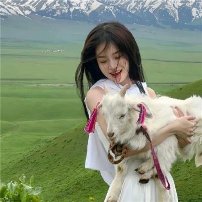 阿特米斯的奇幻历险